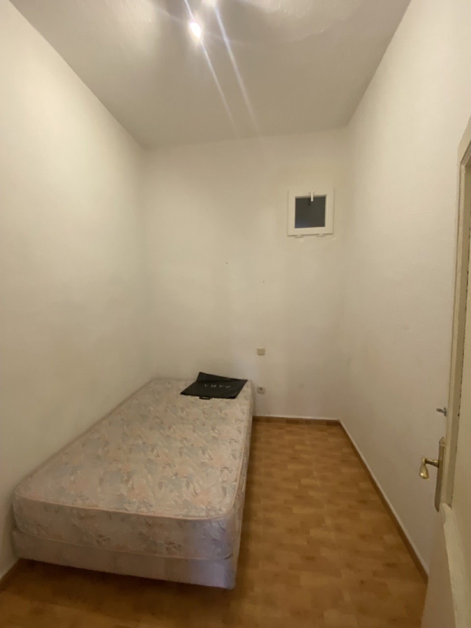 IMG_8667_Large_12.08.29[1]