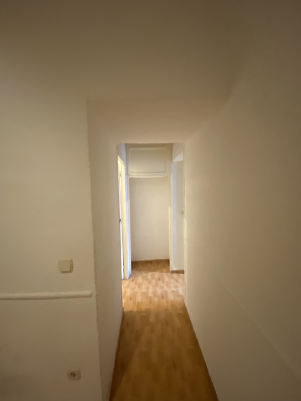 IMG_8669_Large_12.08.29[1]