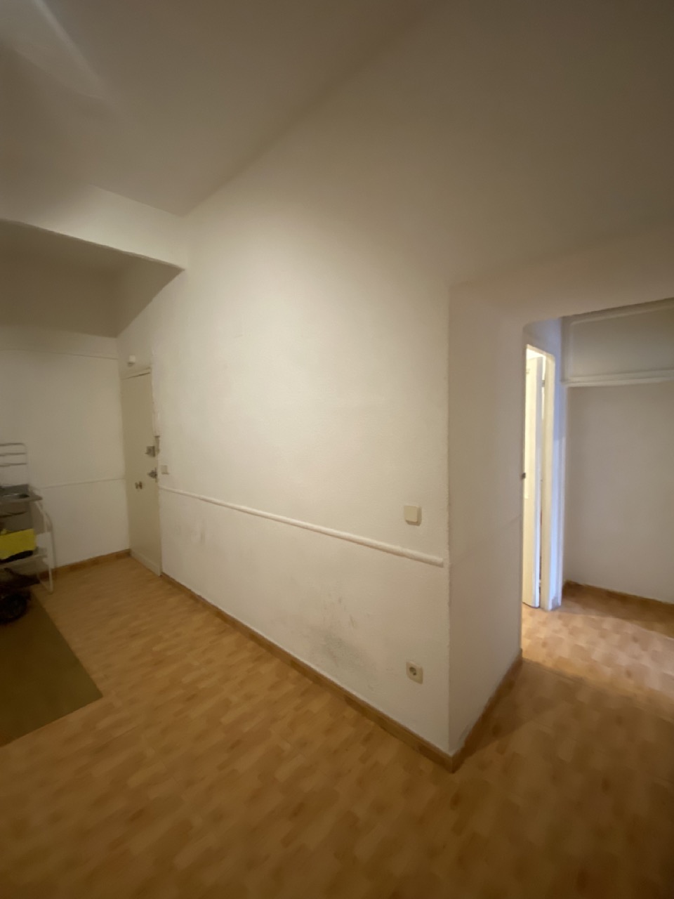 IMG_8675_Large_12.08.29[1]