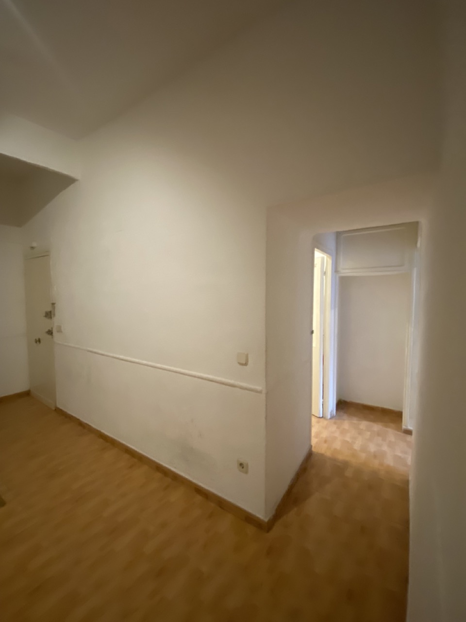 IMG_8676_Large_12.08.29[1]