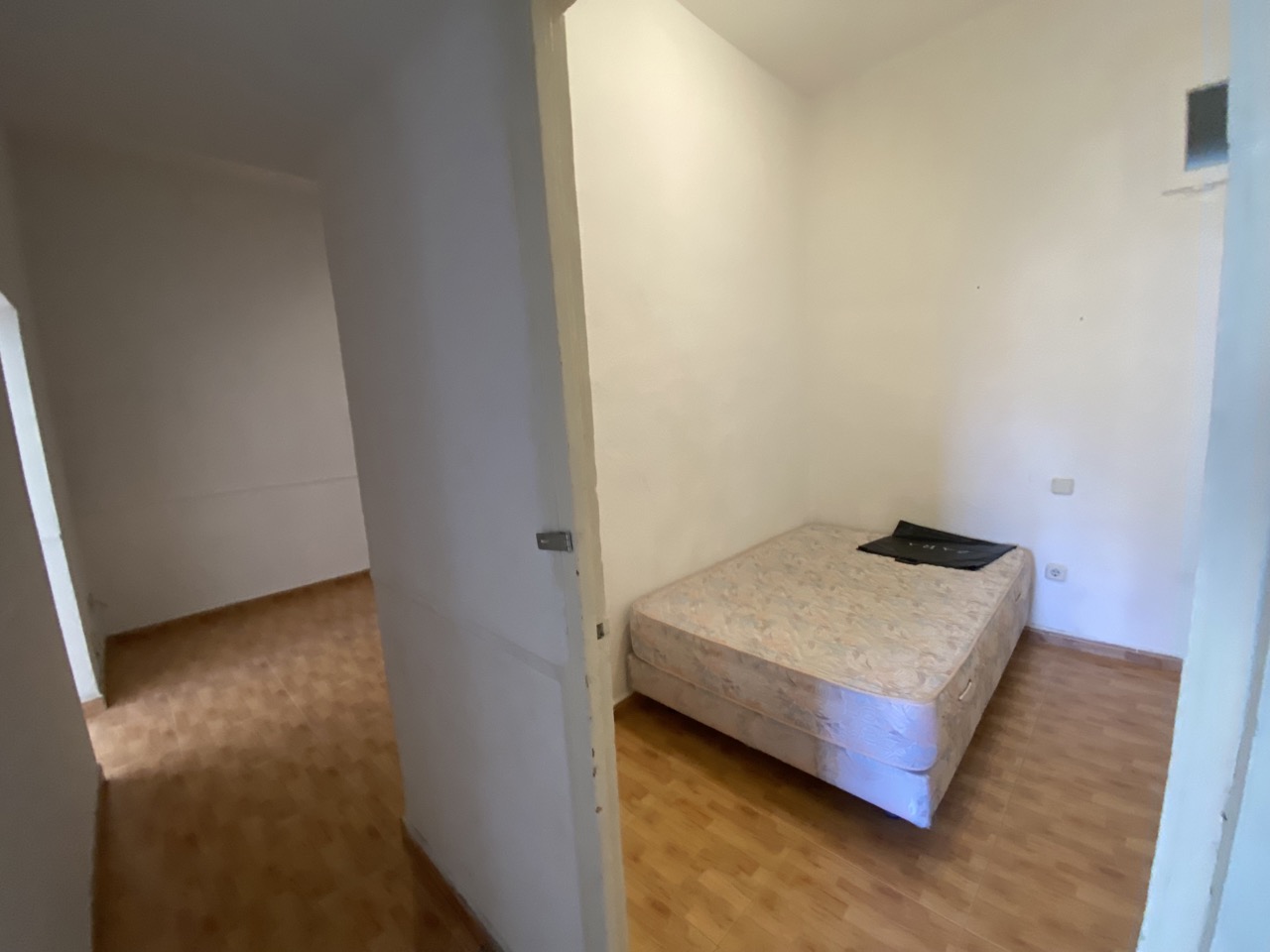 IMG_8964_Large_12.08.29[1]