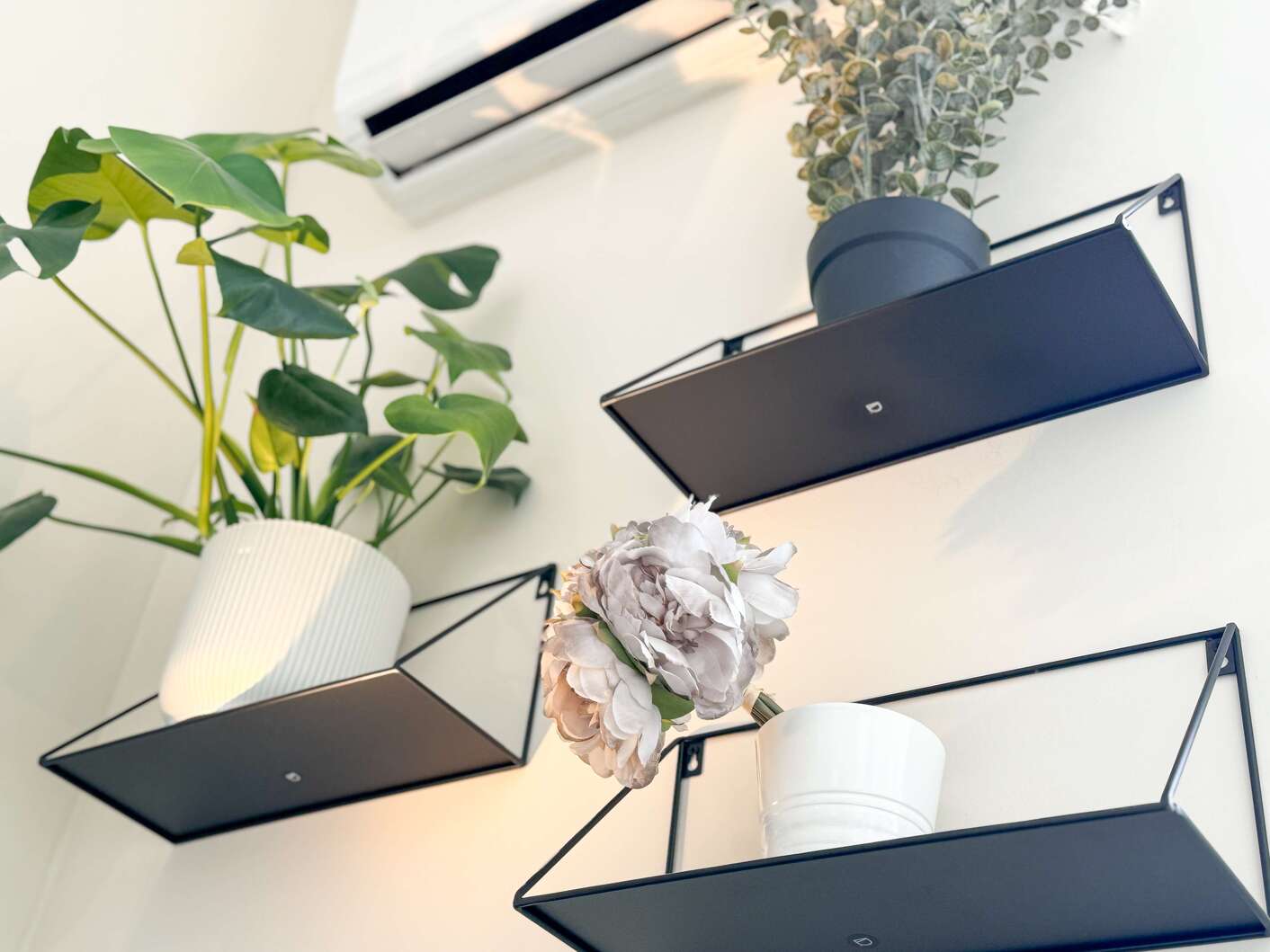 20231015_113148971_iOS