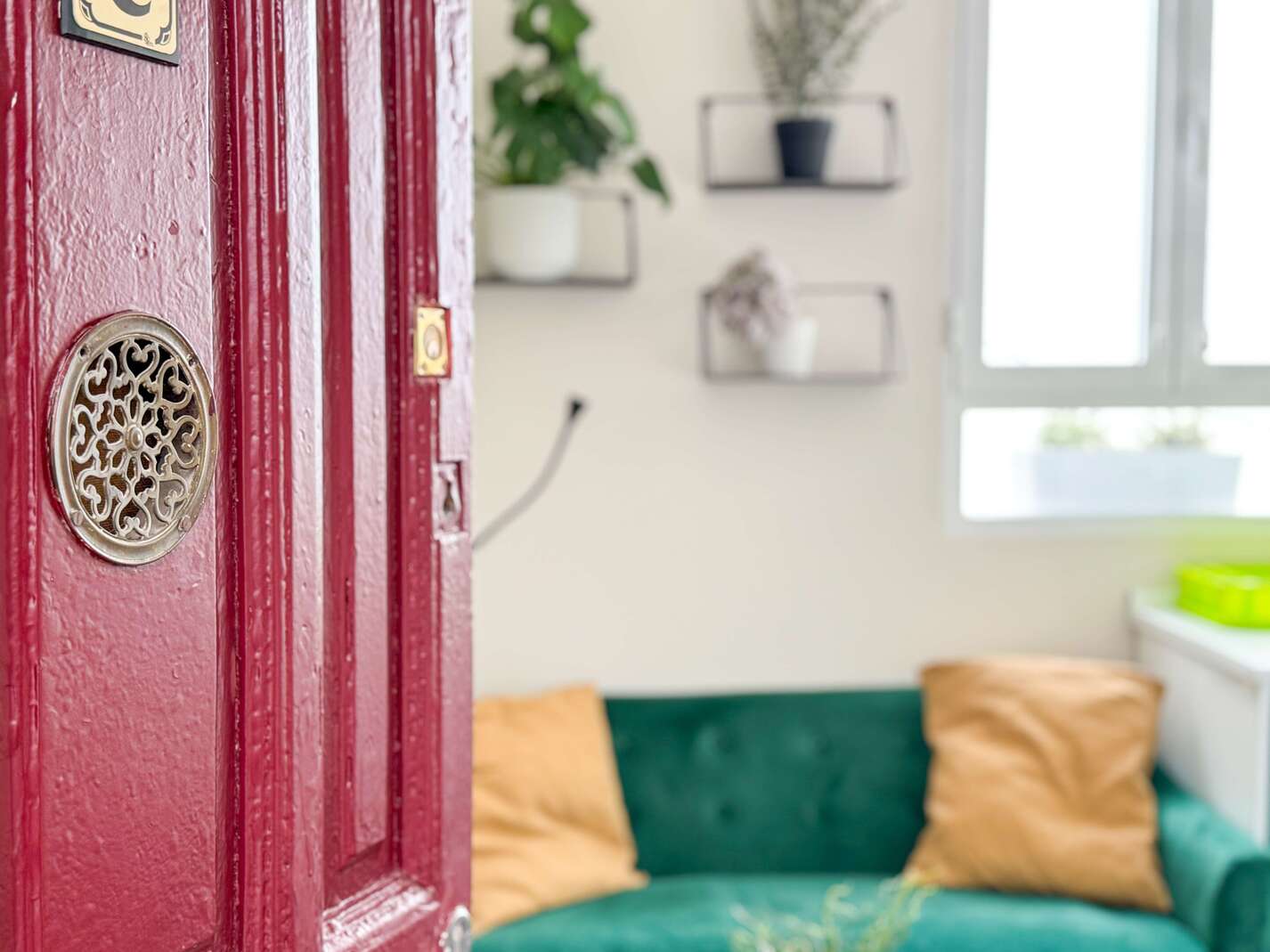 20231015_113717940_iOS