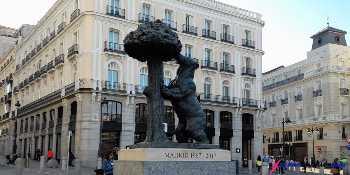 oso y madroño